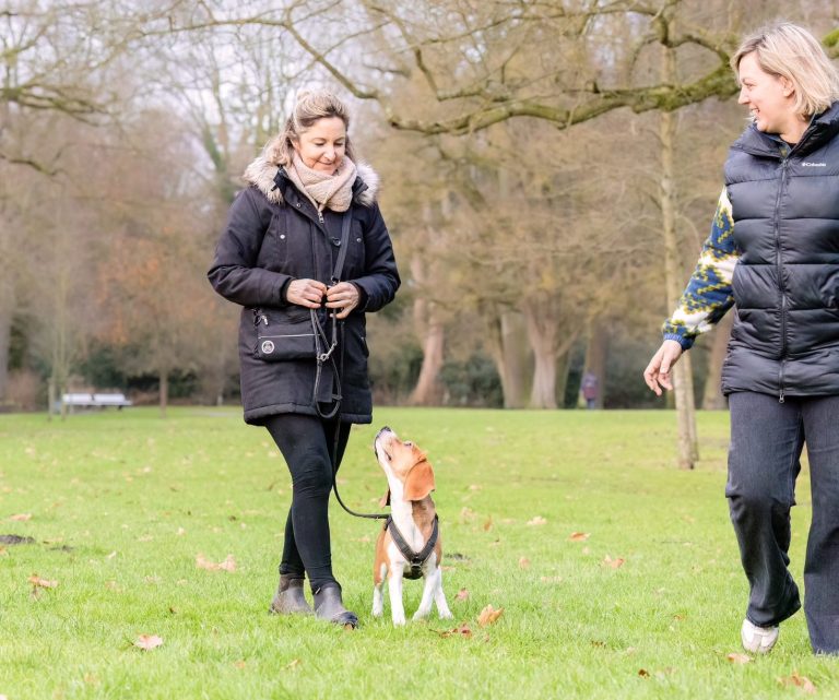Zwei Frauen spazieren mit einem Hund in einem Park bei leicht bewölktem Wetter.