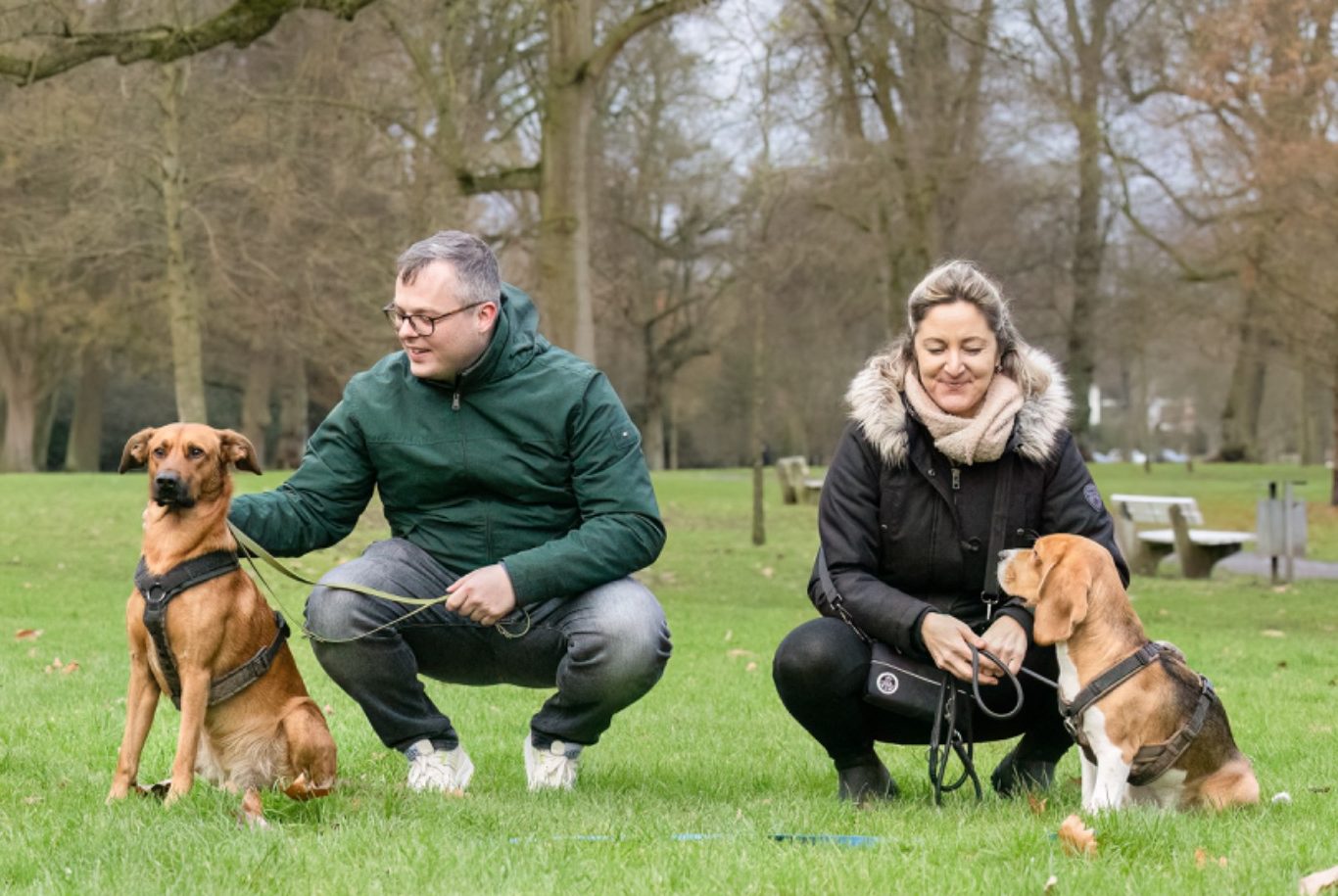 Schwarzer und weißer Hund steht nah bei einer Person auf einer Wiese.