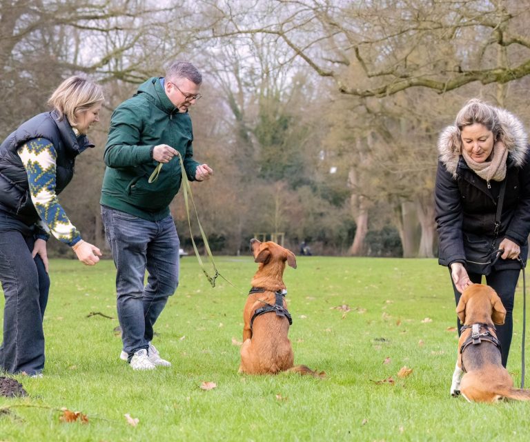 Zwei Personen mit Hunden in einem Park, umgeben von Grünflächen.